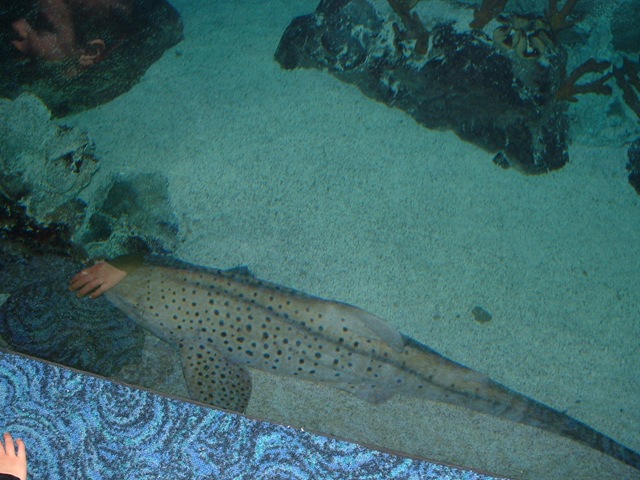 [20091120_Aquarium07[3].jpg]