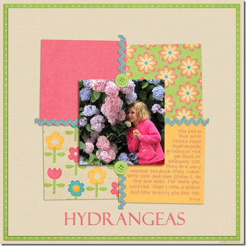 SnS-Hydrangeas