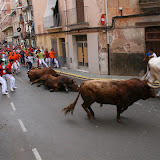 Feria 2007