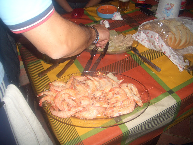 CIMG8503.JPG