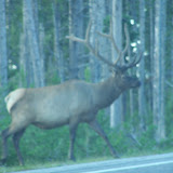 100_6806.JPG