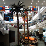 IMG00196-20091009-2034.jpg