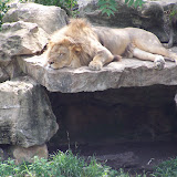 100_9725.JPG