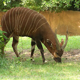 100_9742.JPG
