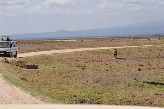 [Africa 2GB 206[2].jpg]