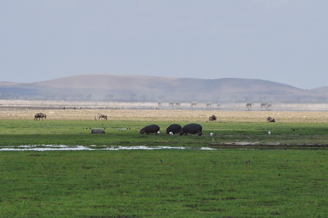 [Africa 2GB 214[2].jpg]