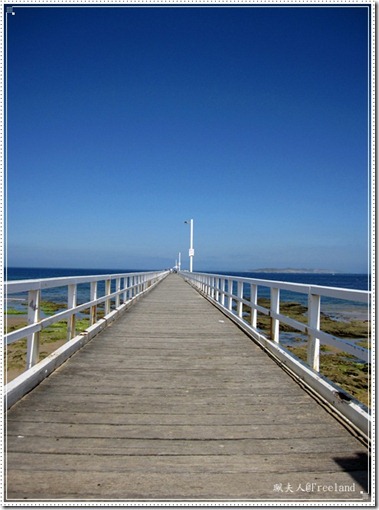 geelong9 geelong9