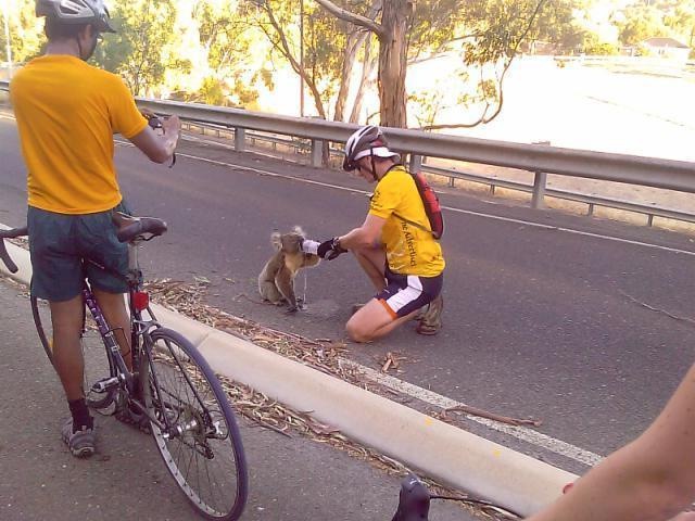 [5[5].jpg]