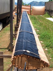 DSCF2740
