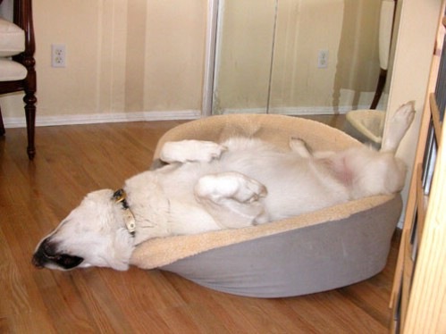 [foto7[13].jpg]