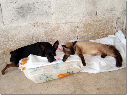 descansando