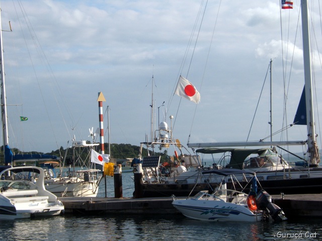 [DSCF41574.jpg]