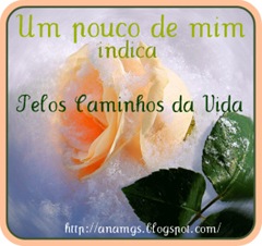 Selo-pelos-caminhos Selo-pelos-caminhos
