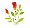roses11