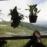 IMG_1824.JPG