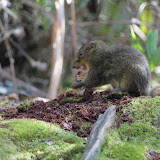 IMG_1879.JPG