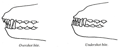 docs11_0001