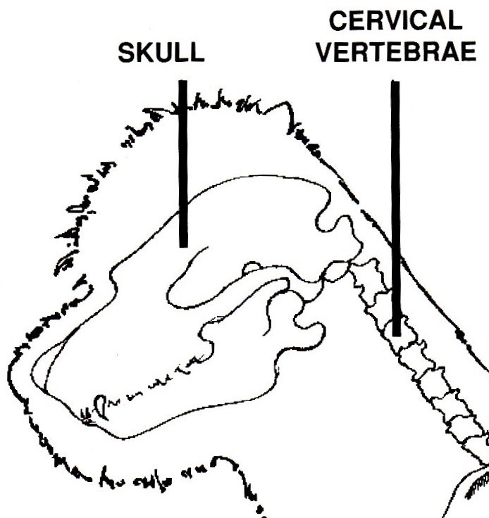 [docs86.jpg]