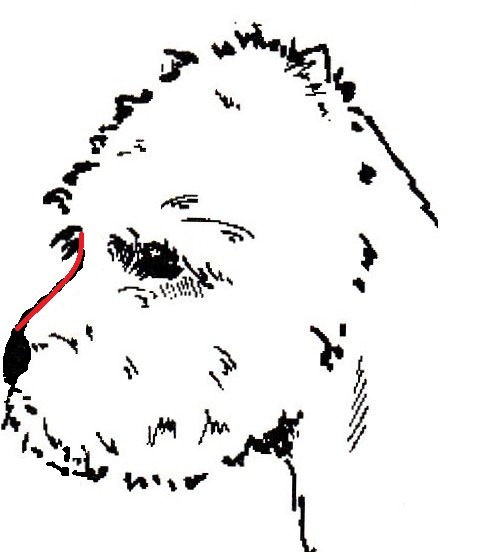 [head57.jpg]