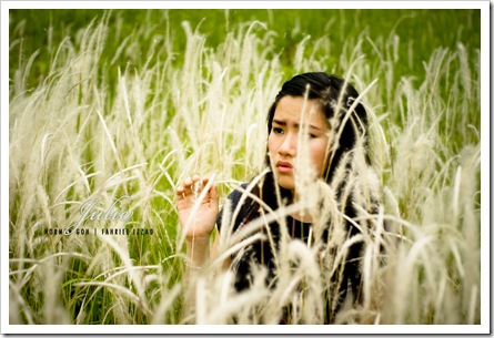 SONY DSC