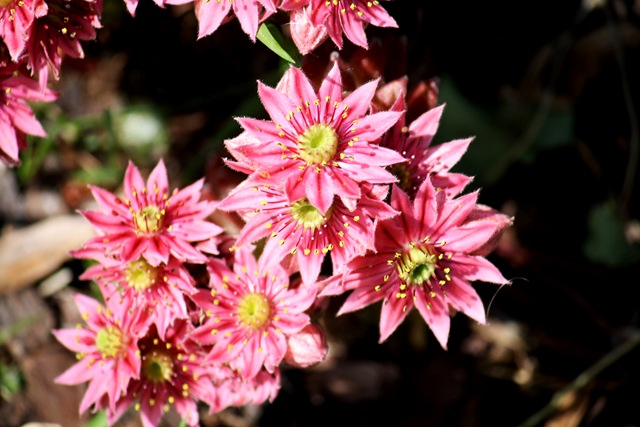 [27.06.20100786.jpg]