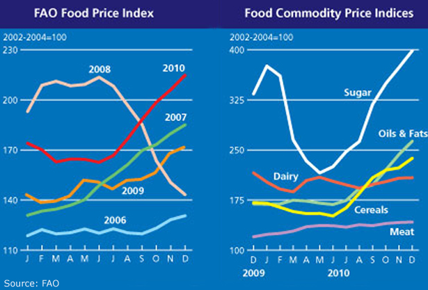 [How food prices[24].png]