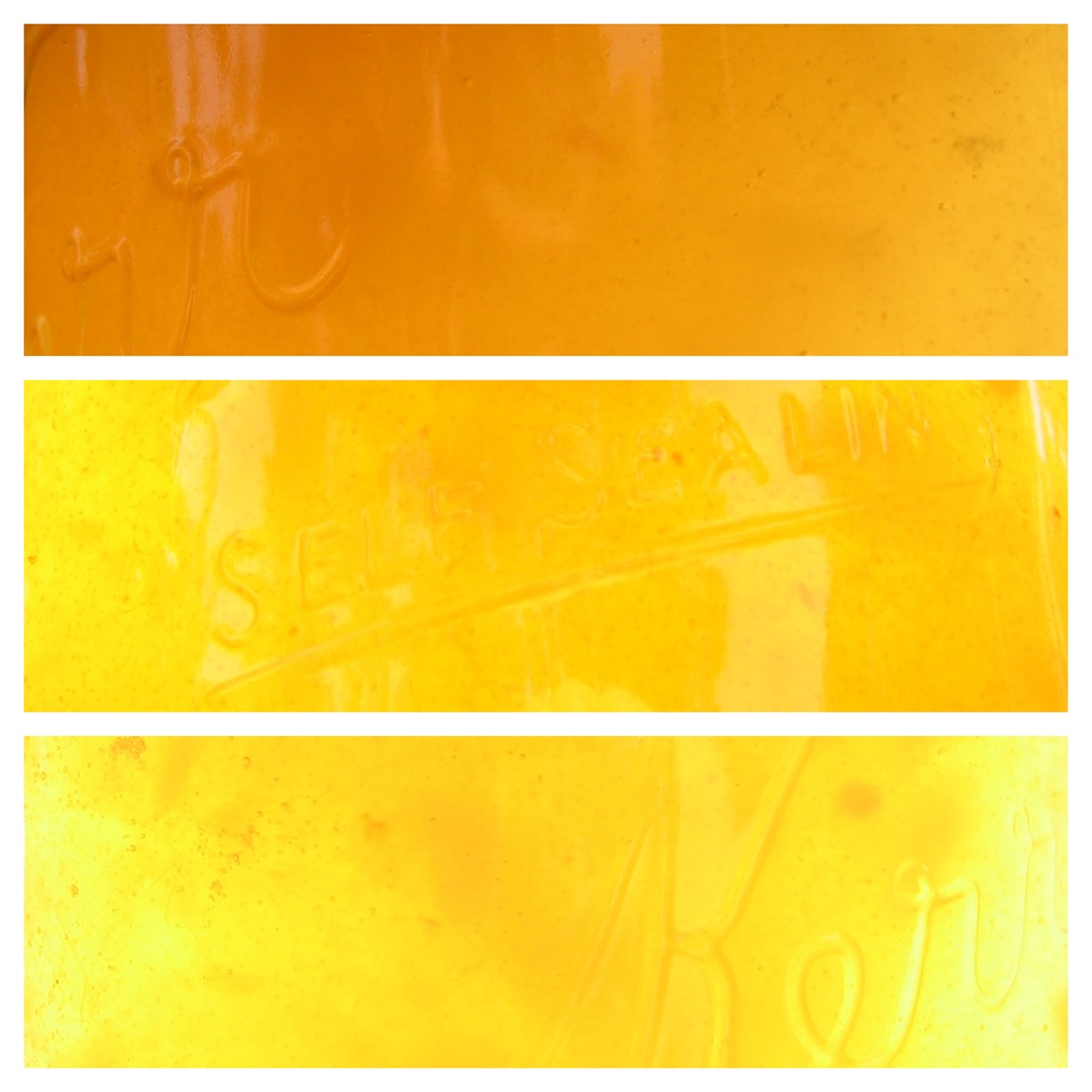 [Collages3[8].jpg]