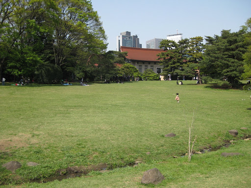IMG_6040.JPG