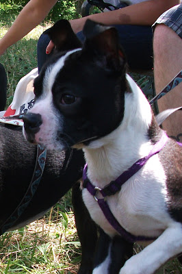 DSCF9423.JPG
