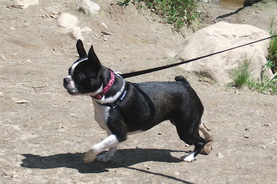 DSCF9400.JPG