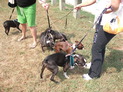 DSCF9496.JPG