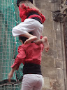 http://lh6.ggpht.com/_K8zYiW5EDX8/SZhKW1FikLI/AAAAAAAABxc/z_aKRjo5NuI/P2150094.JPG