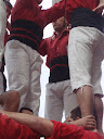 http://lh6.ggpht.com/_K8zYiW5EDX8/SZhPtPj17NI/AAAAAAAAB8E/VFre_SD-9BA/P2150184.JPG