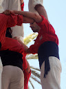 http://lh6.ggpht.com/_K8zYiW5EDX8/SfsyMVWBaJI/AAAAAAAAD2g/bhbEFpN8AZE/P4260072.JPG