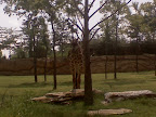 0808091340.jpg