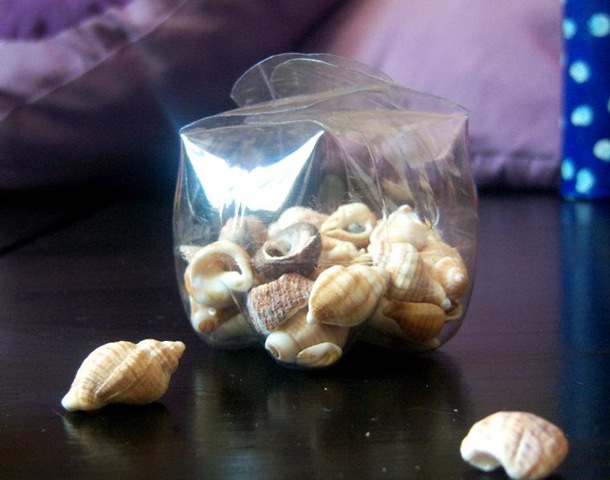 [pet9[3].jpg]