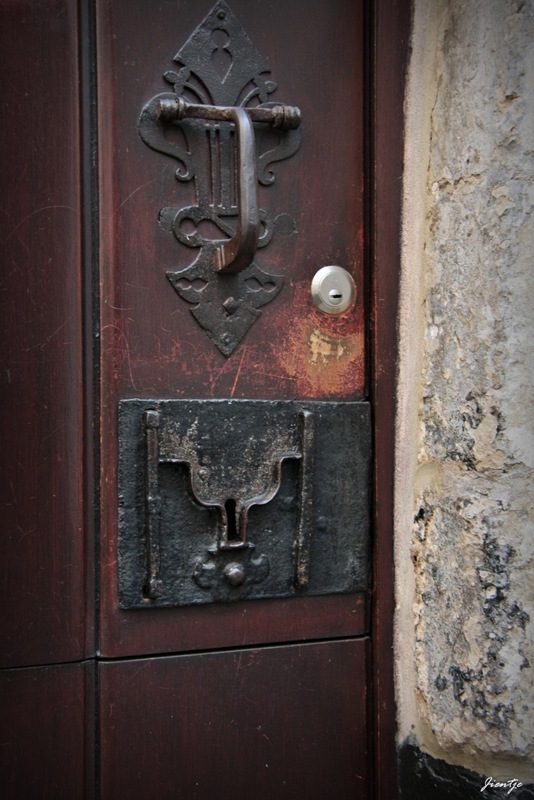 IMG_8453 IMG_8453