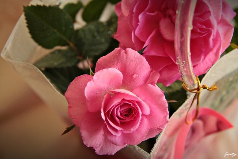 IMG_8212 IMG_8212