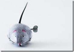 mouse