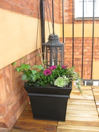 IMG_1091 IMG_1091
