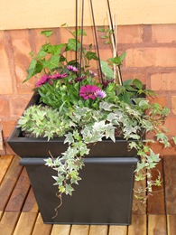 IMG_1090 IMG_1090