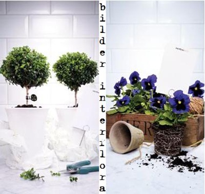 interflora interflora