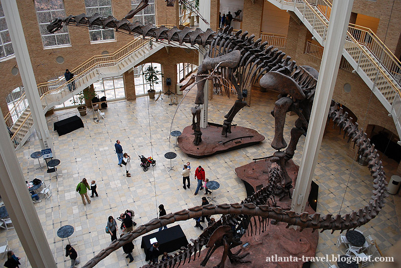 Fernbank Museum dinosaurs