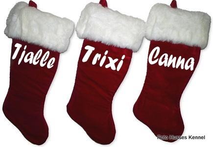 luxury-velvet-christmas-stocking.JPG luxury-velvet-christmas-stocking.JPG