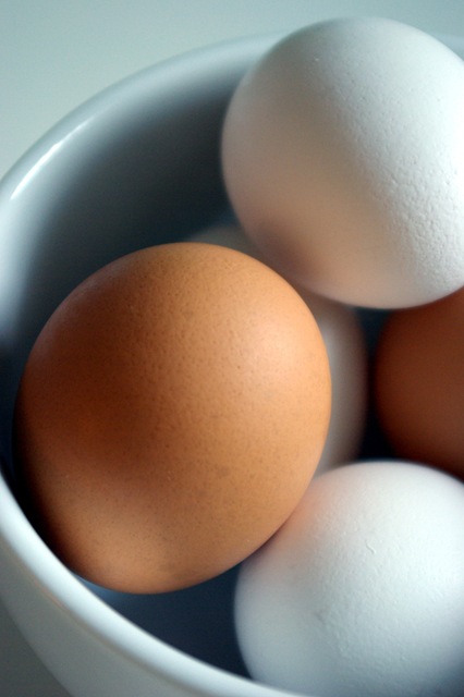 [eggs in bowl 2[5].jpg]