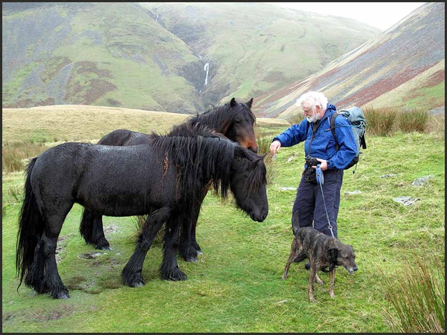 [1503horses4.jpg]