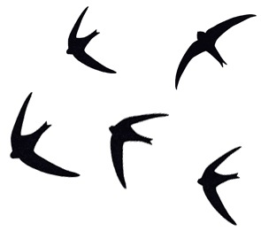 [2802flying swifts[2].jpg]