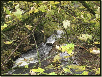 The River Wye, from the bridge by Cressbrook weir