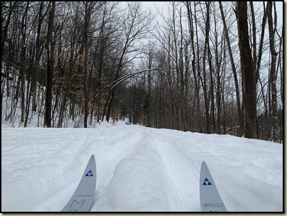 Near the end of trail 5, Gatineau Park Near the end of trail 5, Gatineau Park