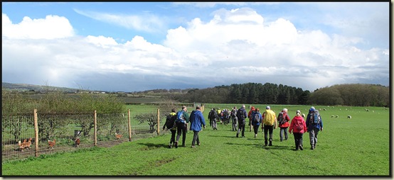 LDWA East Lancs walkers in a field near Aspull